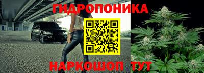 МДПВ Лесосибирск